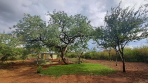 ZuriCamp - Campsite Safiri